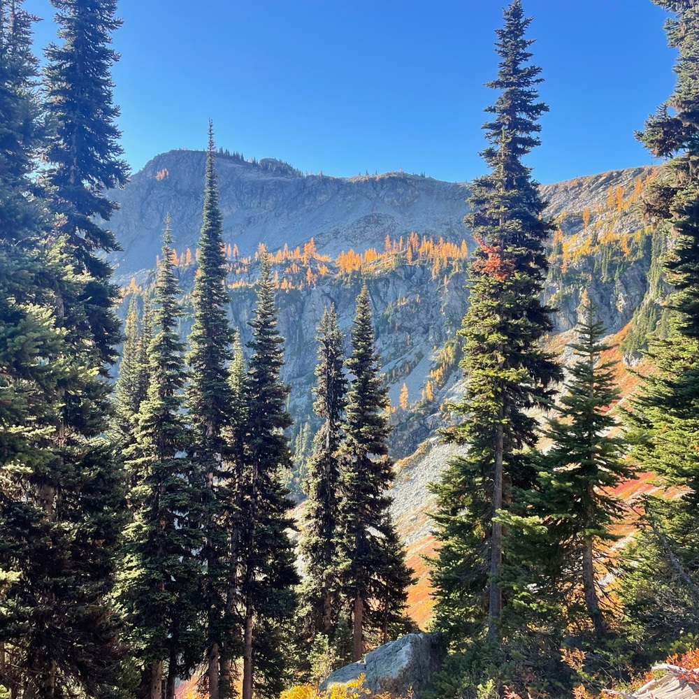 Meet your Posher, Saskia